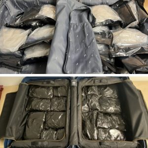 Drug smuggling seizures at New Zealand customs